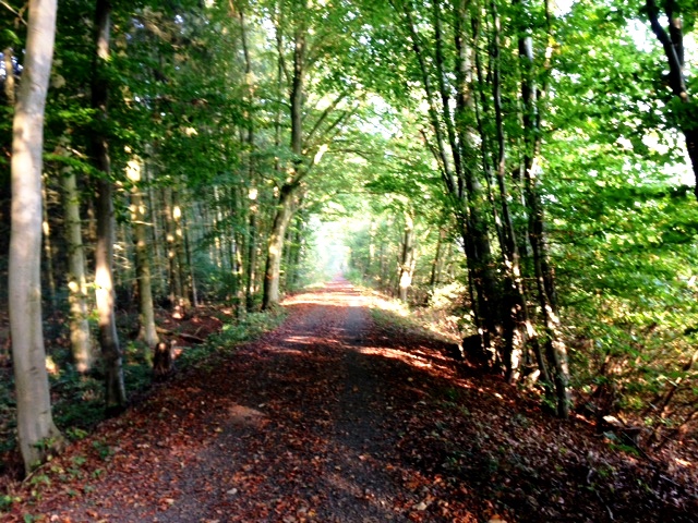 V14IMG_6109
