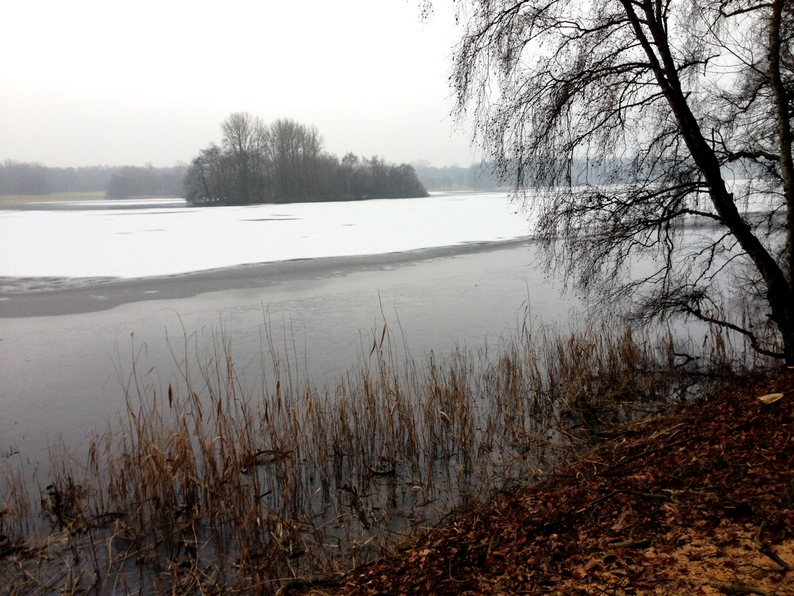 11IMG_7865
